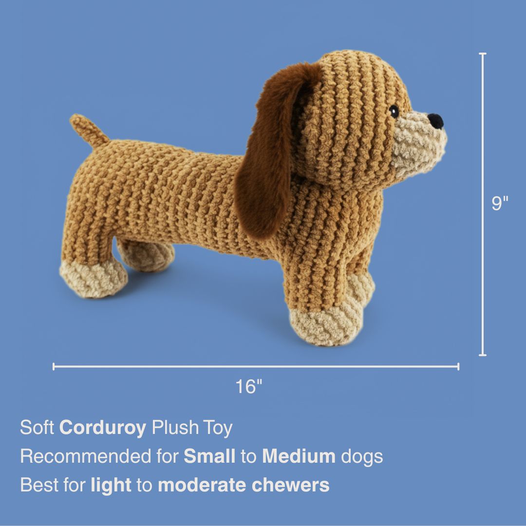 13" Dash Dachshund w/ Squeaker & Crinkle