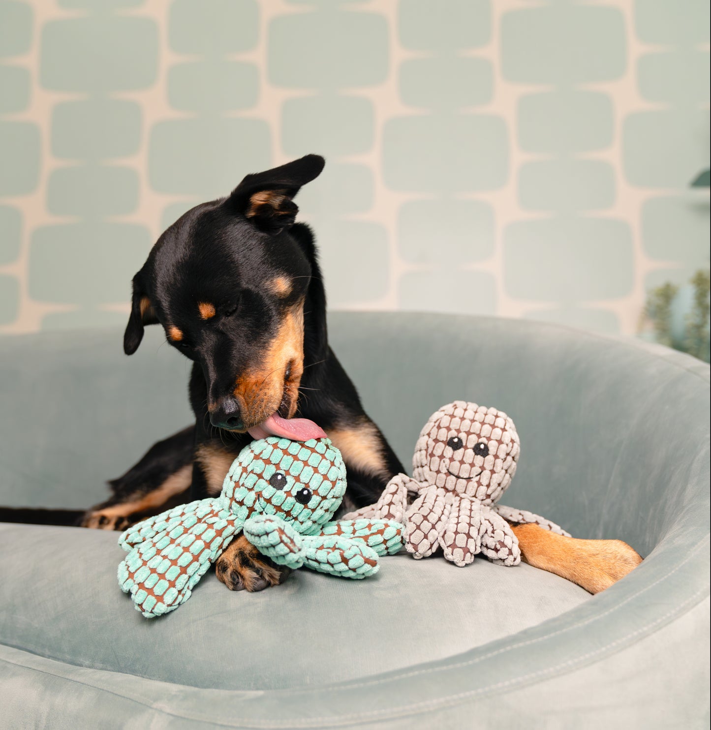 9" Ogi the Octopus w/ Squeaker & Crinkle