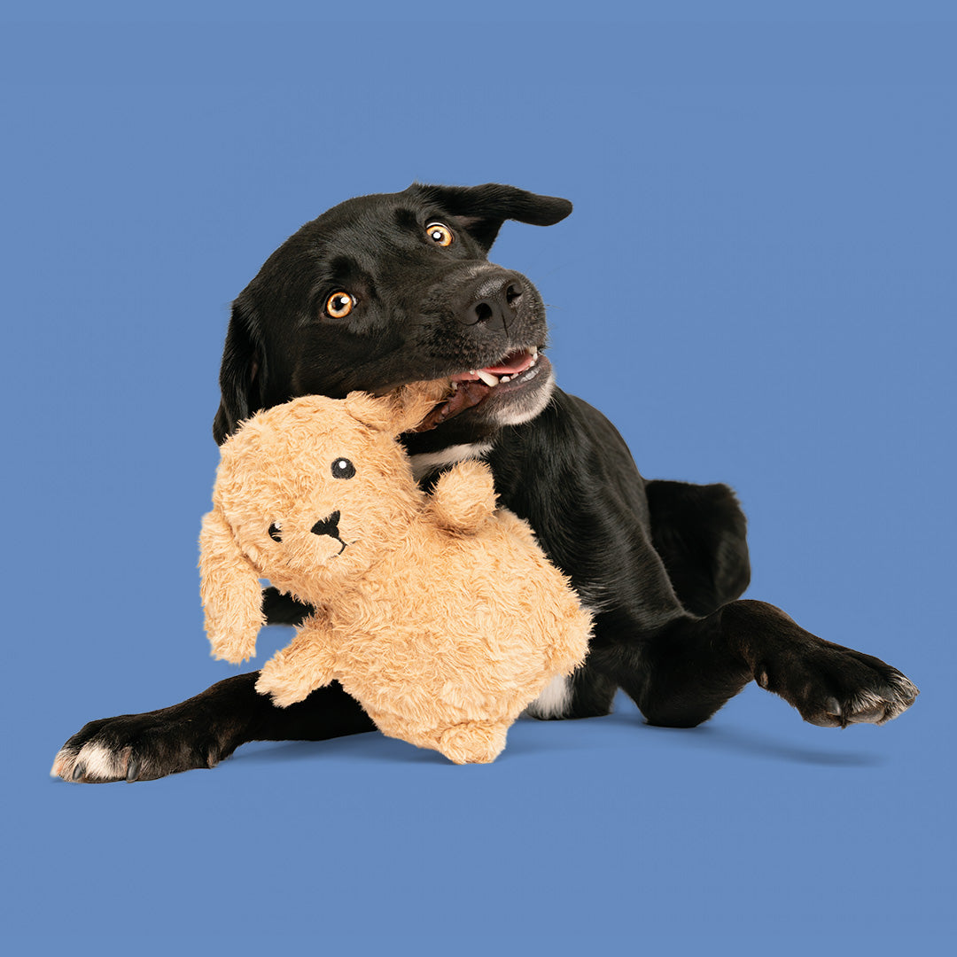 8" Chunky Mimi w/ Squeaker Ball