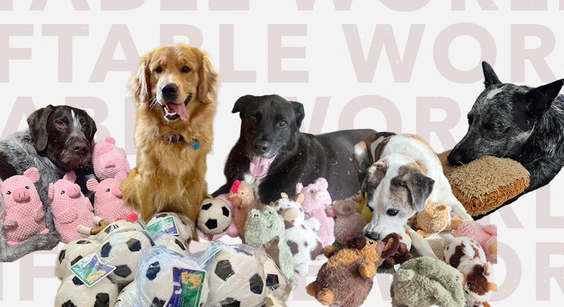 Why Dogs Form Emotional Bonds with Their Plush Dog Toys
