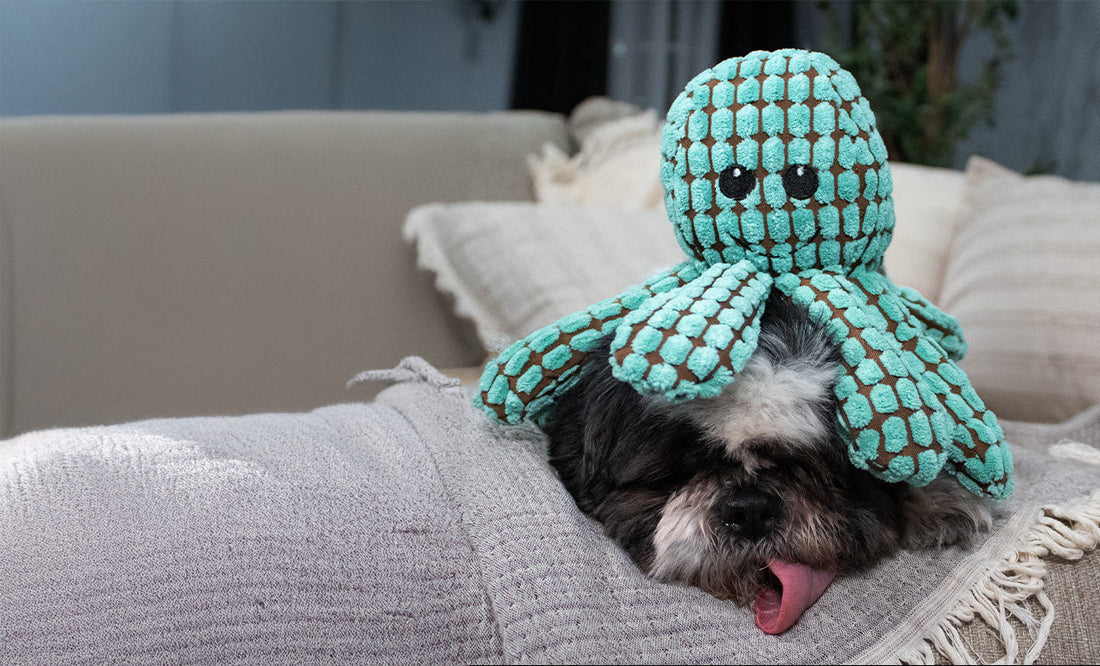 Beyond Cuddles: The Surprising Comfort and Enrichment Plush Toys Offer Your Pets in 2025