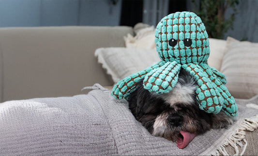 Beyond Cuddles: The Surprising Comfort and Enrichment Plush Toys Offer Your Pets in 2025