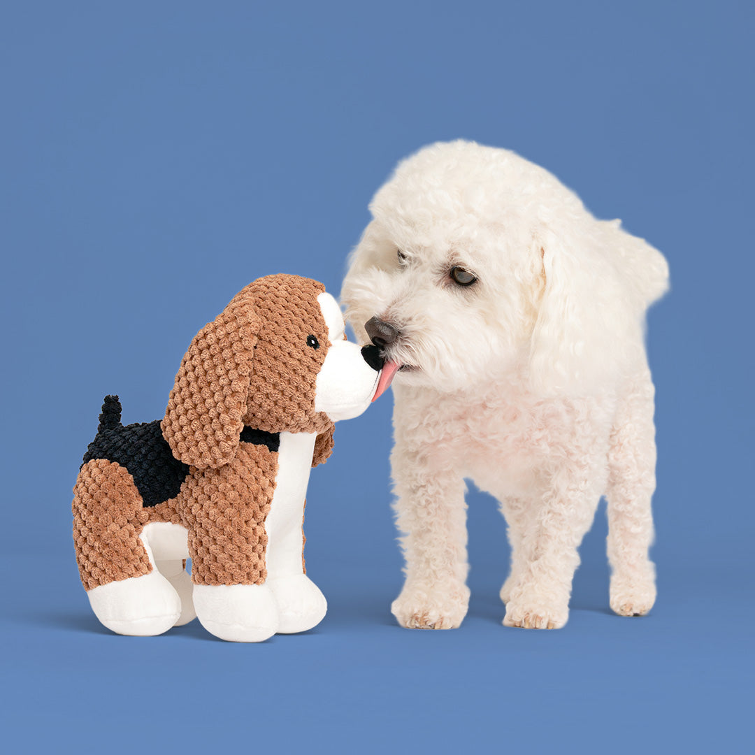 9" Benny Beagle w/Squeaker & Crinkle