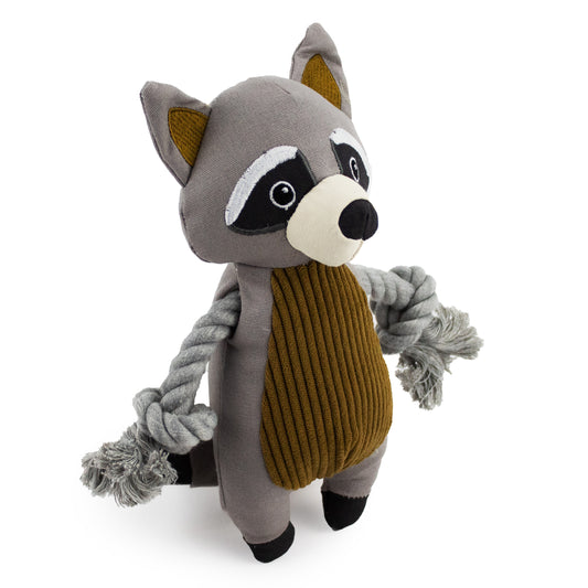 9" Canvy Raccoon