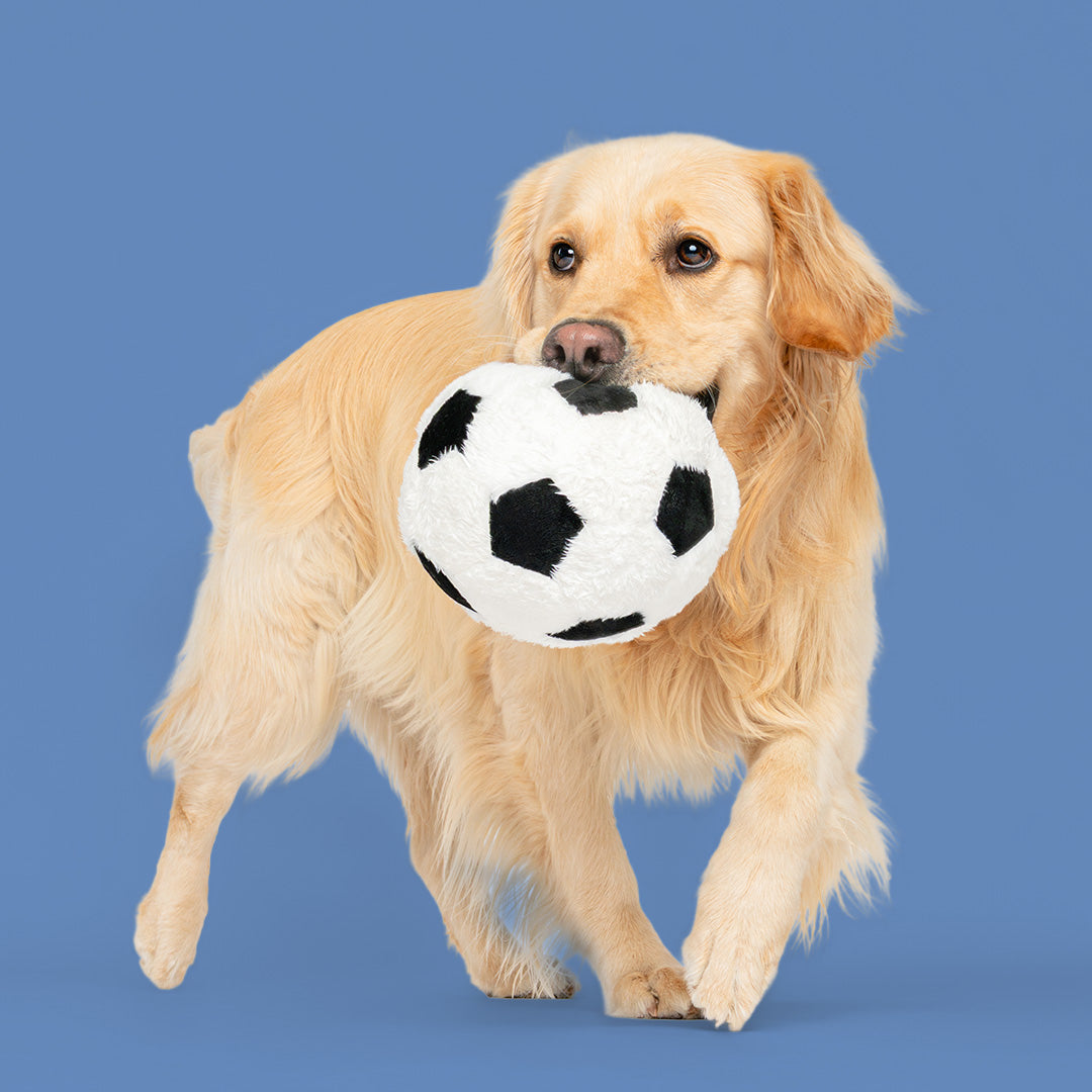 9" Soccer Ball W/ Squeaker
