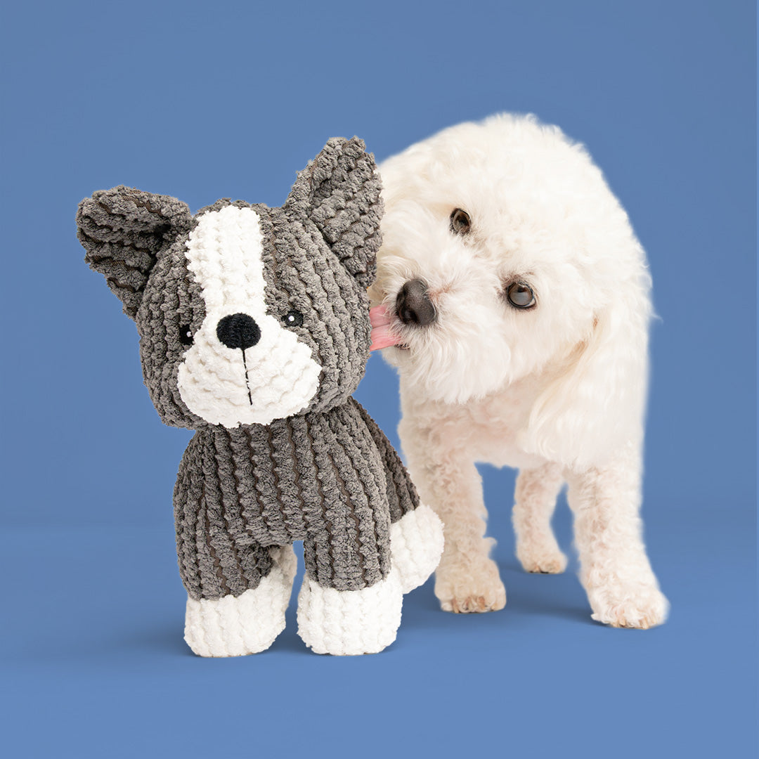 9" Boston Bo w/ Squeaker & Crinkle