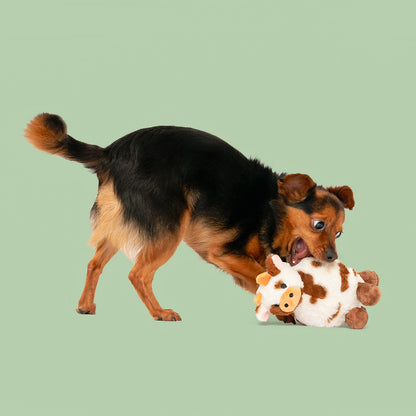 8" Rudy & Carter w/ Squeaker Ball & Crinkle - 2 Pack