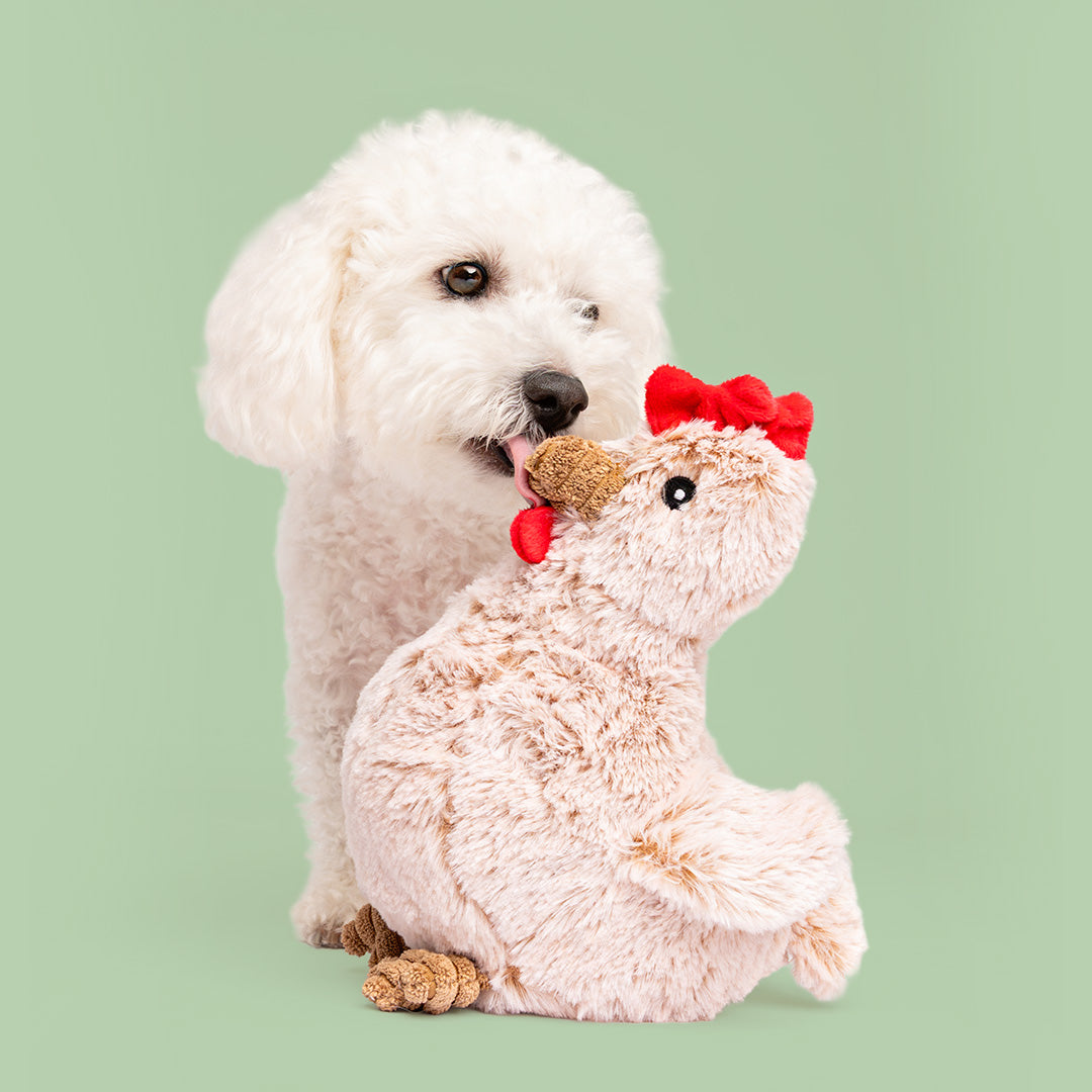 9" Chicken w/ Squeaker