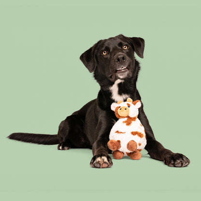 8" Rudy & Carter w/ Squeaker Ball & Crinkle - 2 Pack