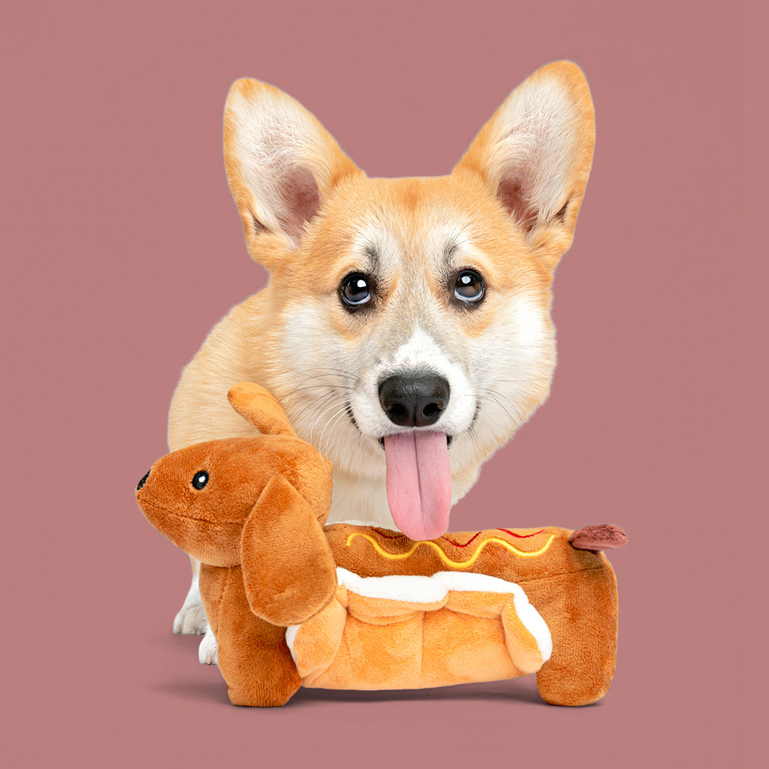 10" Dog in Bun w/ Squeaker