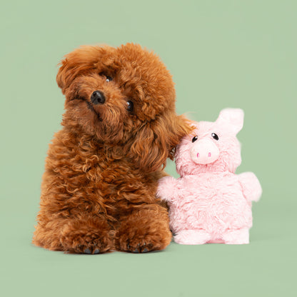 4.5" Farm Fun w/ Squeaker & Crinkle- 3pack