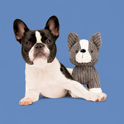 9" Boston Bo w/ Squeaker & Crinkle