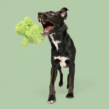 7" Quack & Leaping Frog w/ Squeaker Ball - 2 Pack