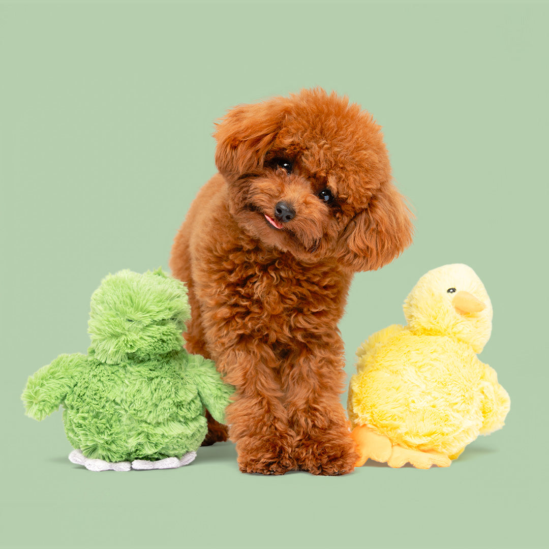 7" Quack & Leaping Frog w/ Squeaker Ball - 2 Pack