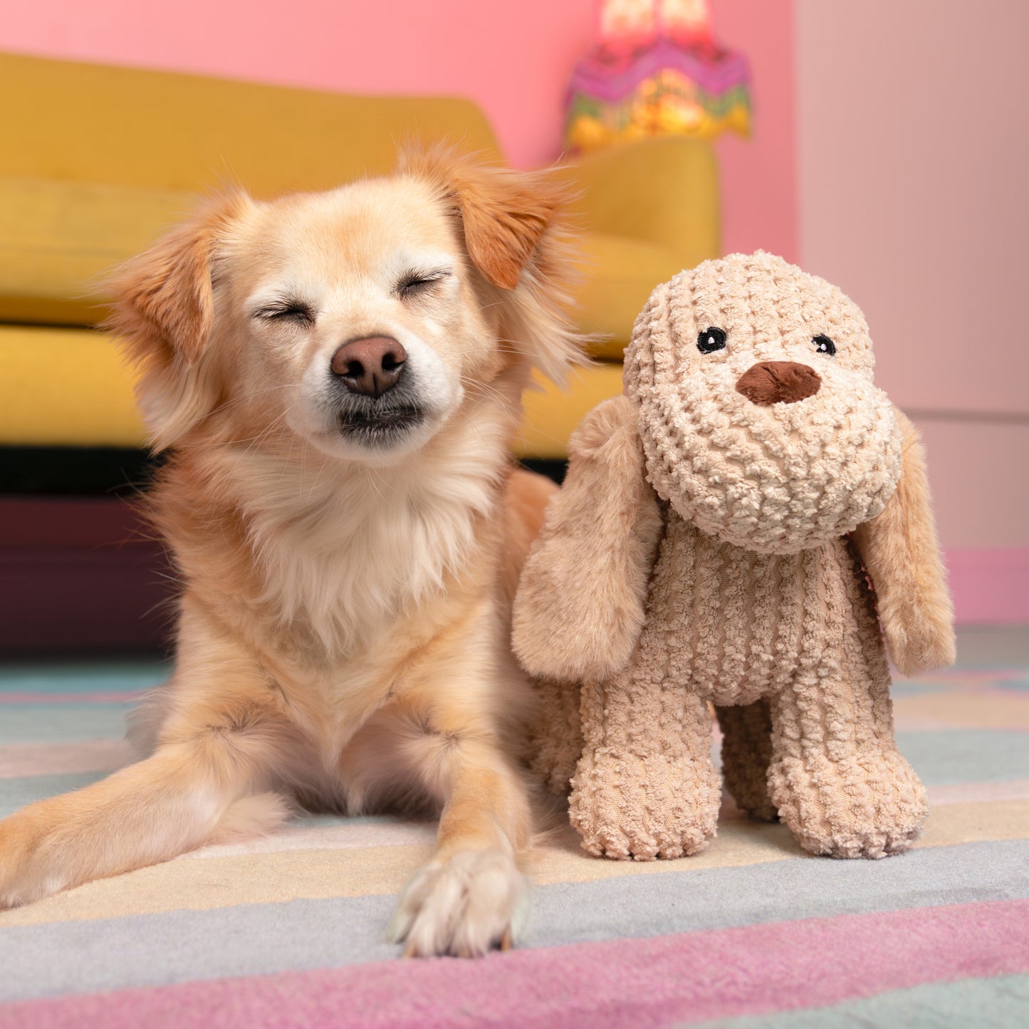 9" Welshy Spaniel w/ Squeaker & Crinkle