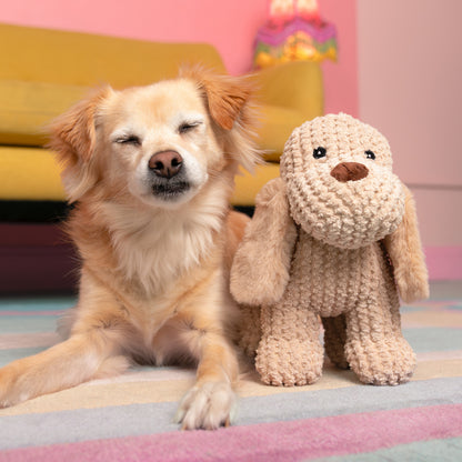 9" Welshy Spaniel w/ Squeaker & Crinkle