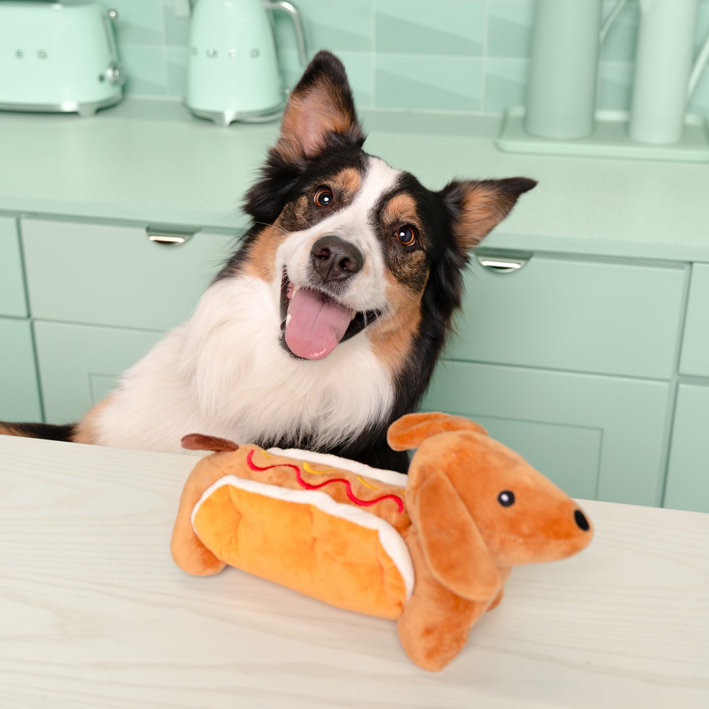 10" Dog in Bun w/ Squeaker
