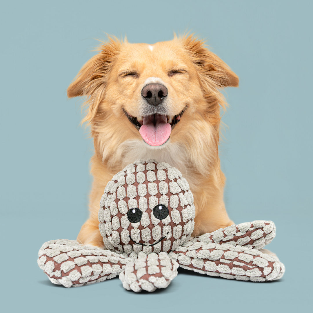 9" Ogi the Octopus w/ Squeaker & Crinkle