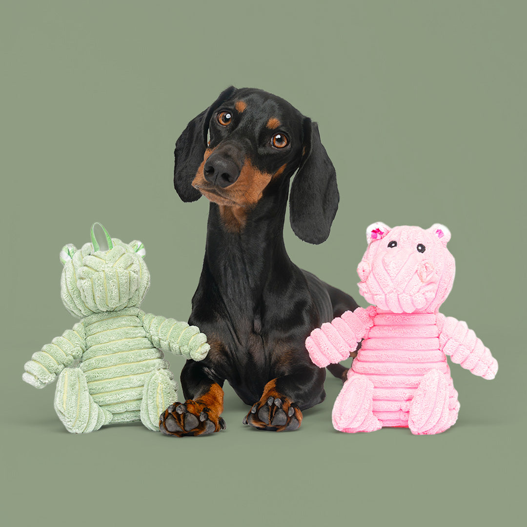 7" Corduroy Jungle w Squeaker & Crinkle - 2 Pack