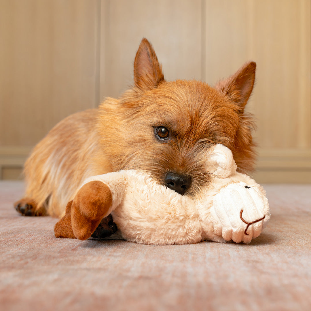 7" Two Tone Cuddle Pig & Lamb w/ Squeaker & Corduroy