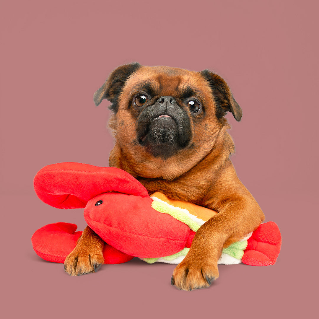 12" Lobster Roll w/ Squeaker and Crinkle