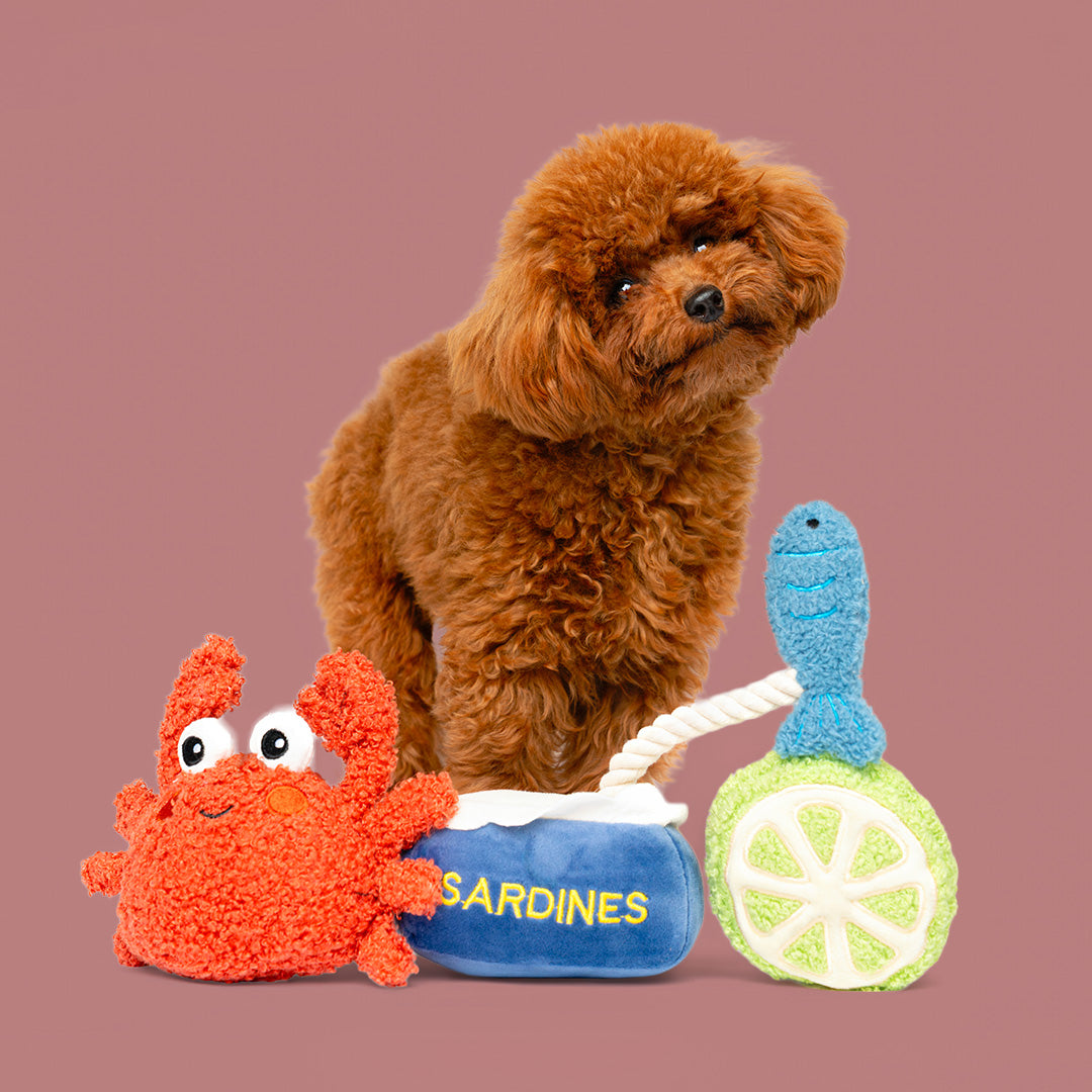 4.5" Ocean Munch Bunch w/ Squeaker - 3 Pack