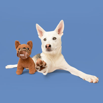 9" Paw Receiver w/ Squeaker & Crinkle