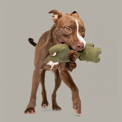 9" Canvy Crocodile