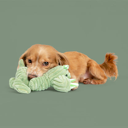 7" Corduroy Jungle w Squeaker & Crinkle - 2 Pack