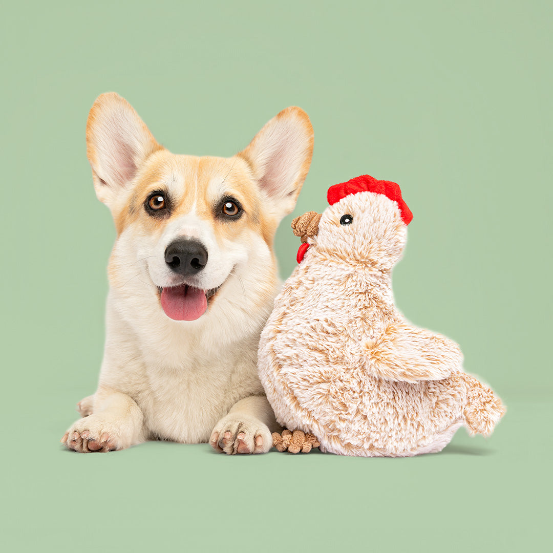 9" Chicken w/ Squeaker