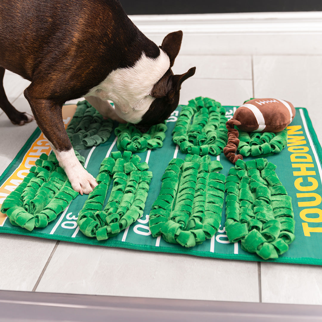 23" Touchdown Turf Snuffle
