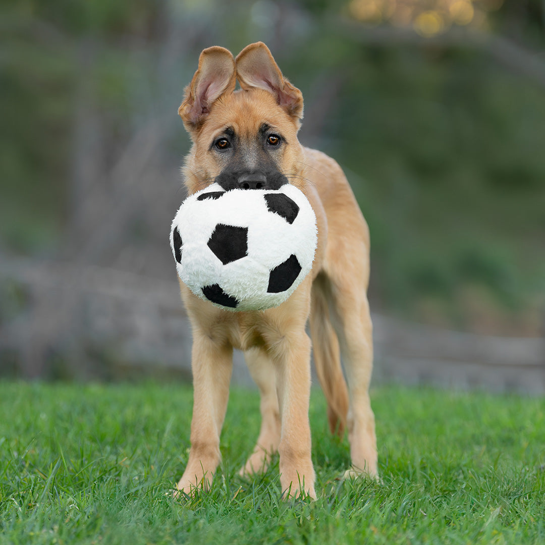 9" Soccer Ball W/ Squeaker