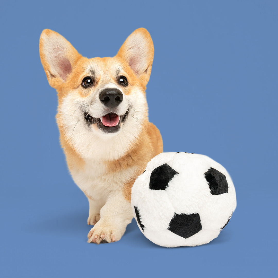 9" Soccer Ball W/ Squeaker